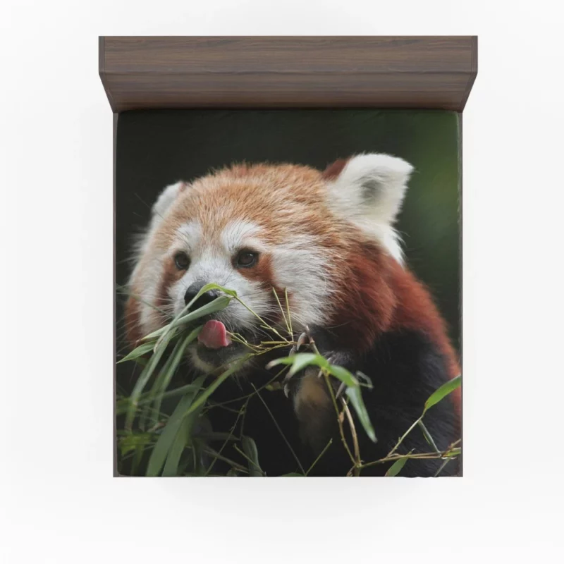 Red Panda Playful Charm Fitted Sheet 1