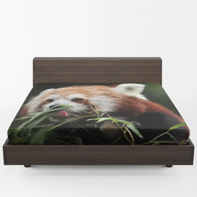 Red Panda Playful Charm Fitted Sheet