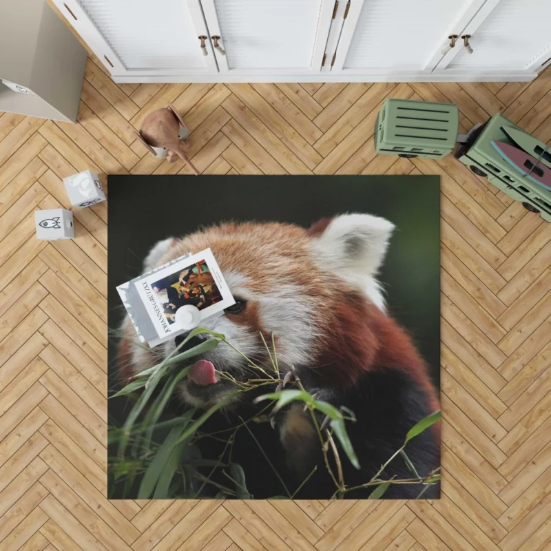 Red Panda Playful Charm Rug