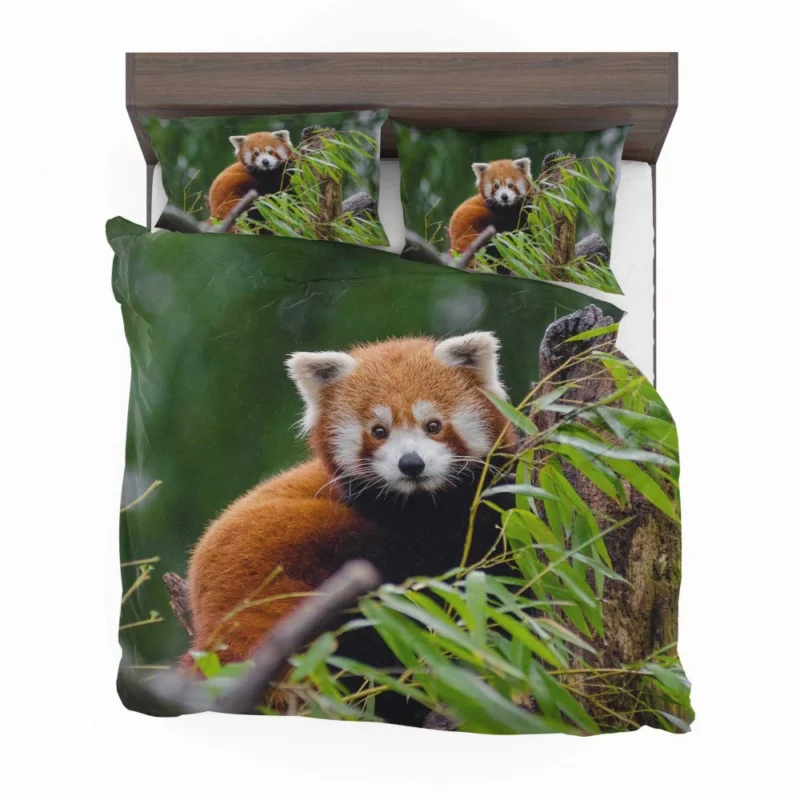 Red Panda Playfulness Bedding Set 1