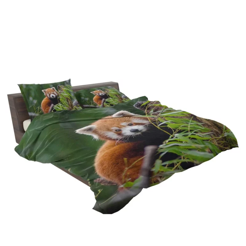 Red Panda Playfulness Bedding Set 2