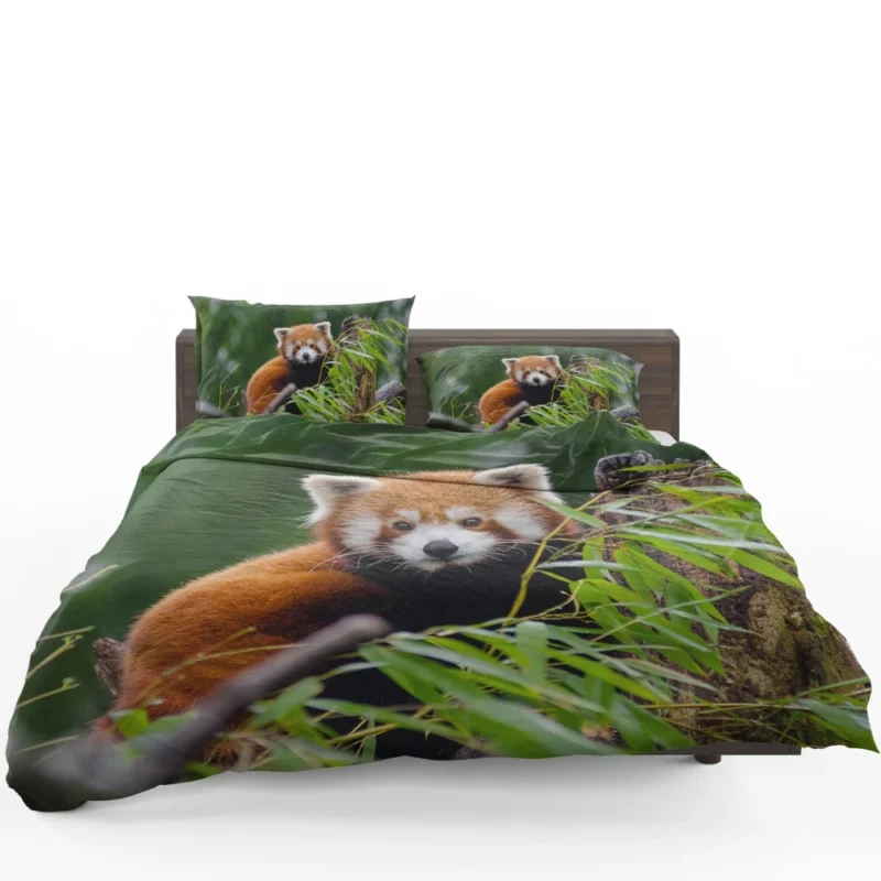 Red Panda Playfulness Bedding Set