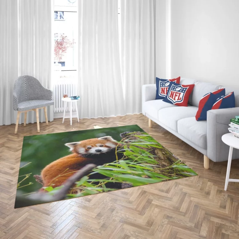 Red Panda Playfulness Rug 2