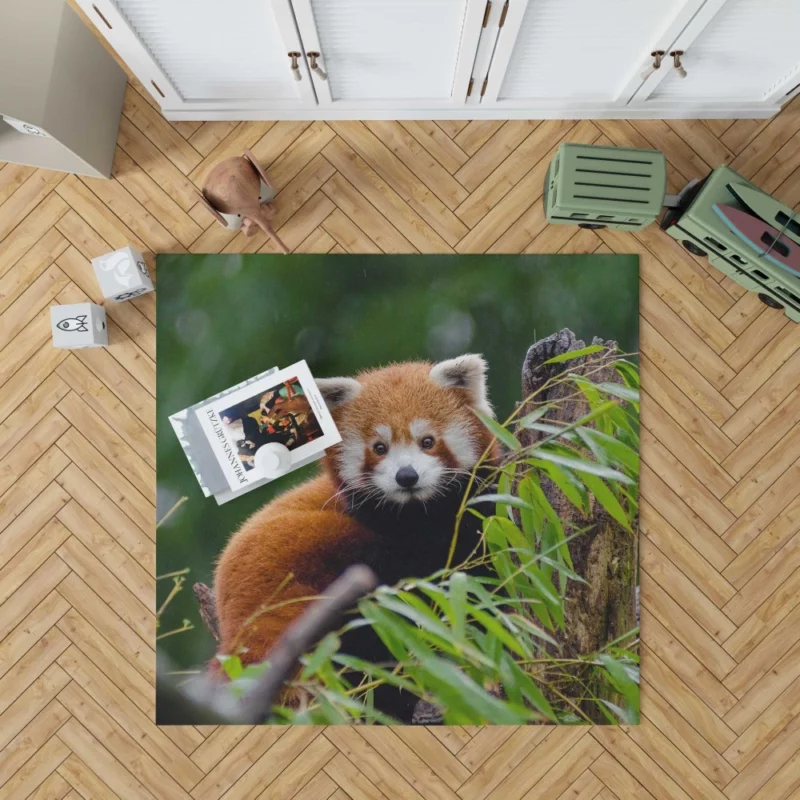 Red Panda Playfulness Rug