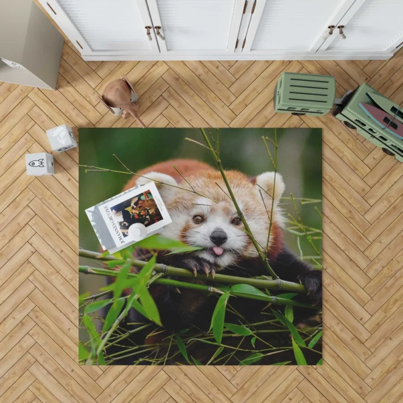 Red Panda Rug