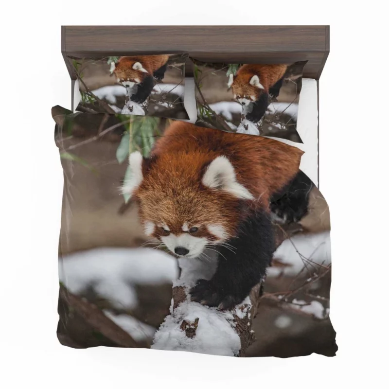 Red Panda Urban Visit Chicago Zoo Bedding Set 1