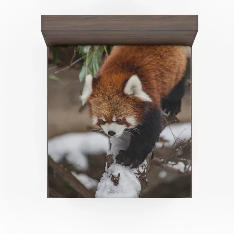 Red Panda Urban Visit Chicago Zoo Fitted Sheet 1