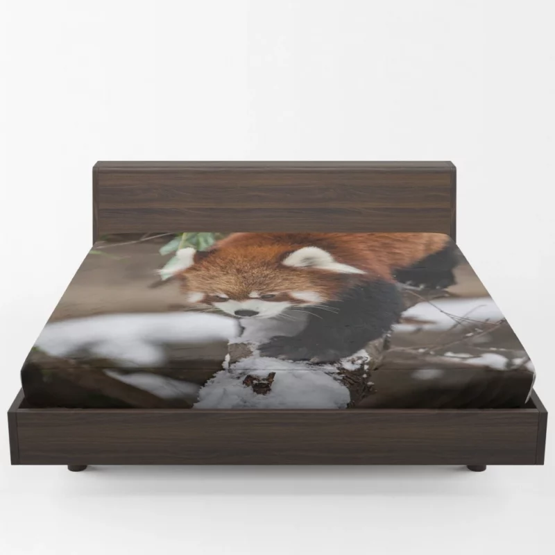 Red Panda Urban Visit Chicago Zoo Fitted Sheet