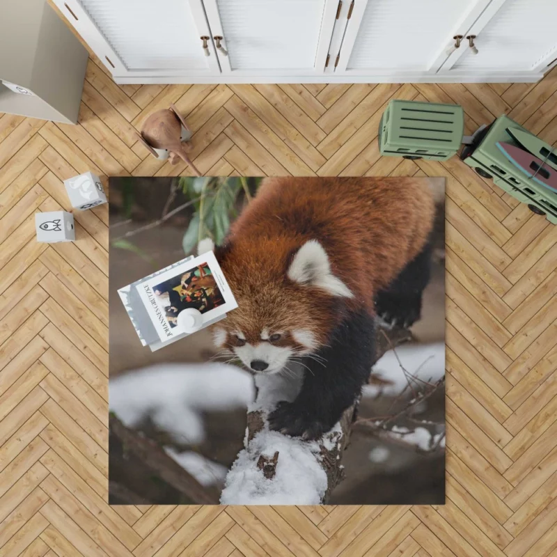 Red Panda Urban Visit Chicago Zoo Rug