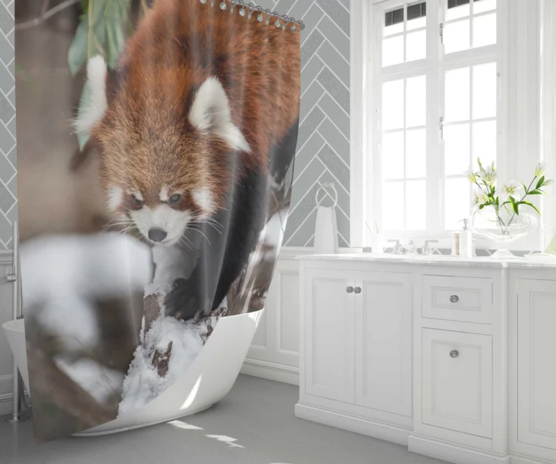 Red Panda Urban Visit Chicago Zoo Shower Curtain 1