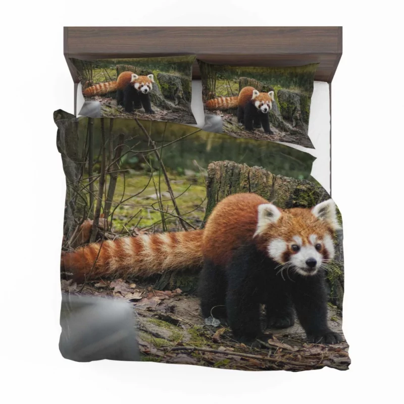 Red Panda on Stump Nature Serenity Bedding Set 1