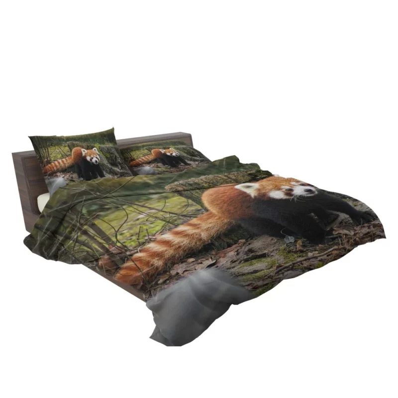 Red Panda on Stump Nature Serenity Bedding Set 2