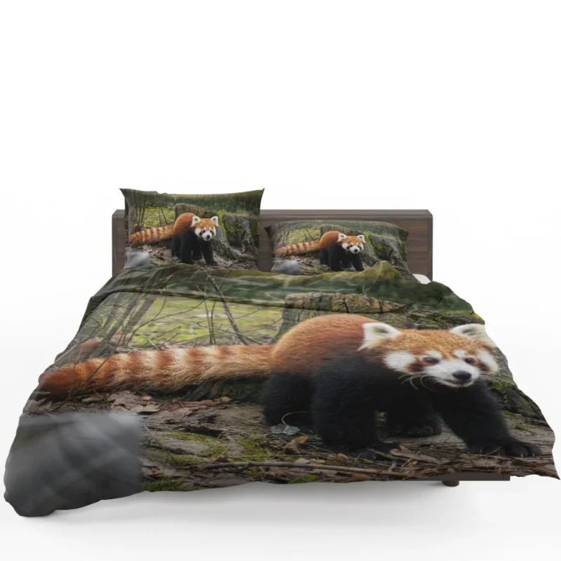 Red Panda on Stump Nature Serenity Bedding Set