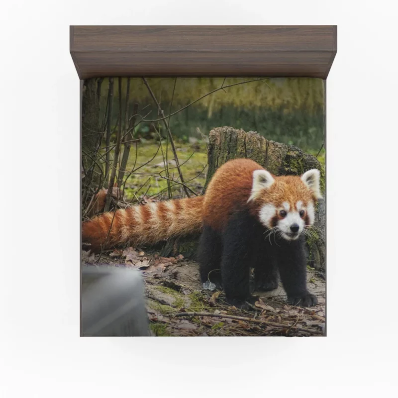 Red Panda on Stump Nature Serenity Fitted Sheet 1