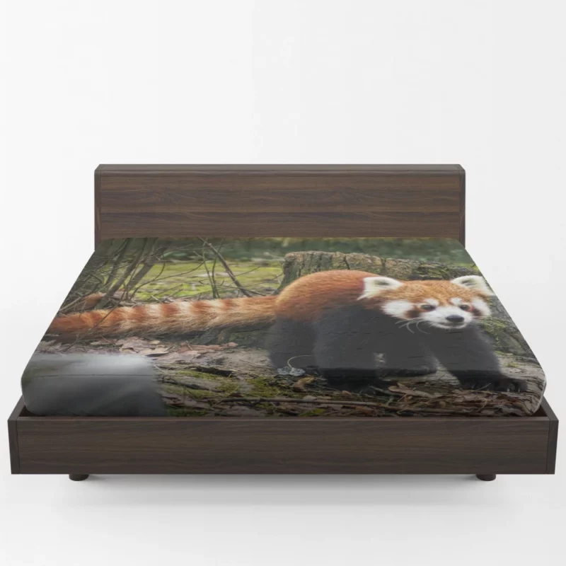 Red Panda on Stump Nature Serenity Fitted Sheet