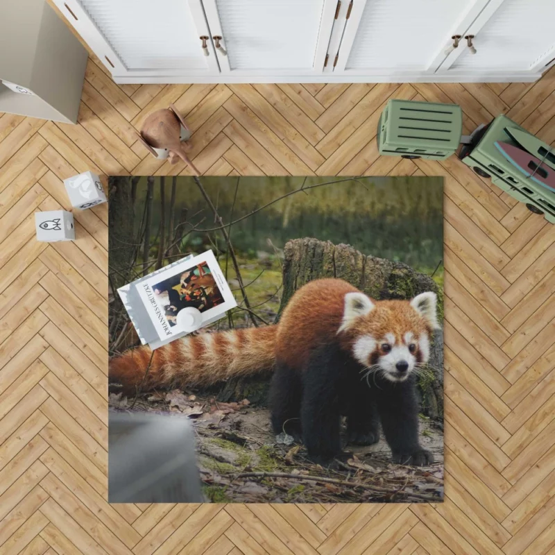 Red Panda on Stump Nature Serenity Rug