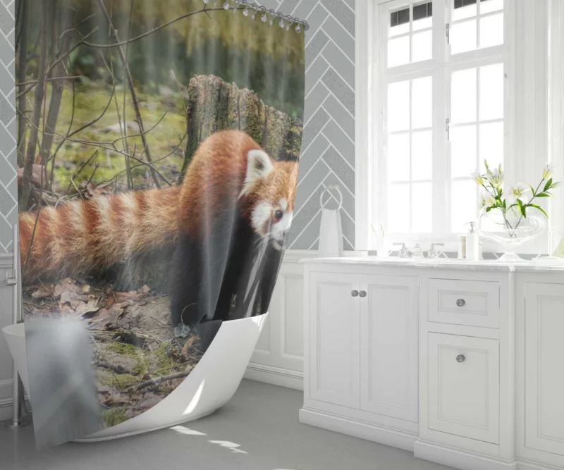 Red Panda on Stump Nature Serenity Shower Curtain 1