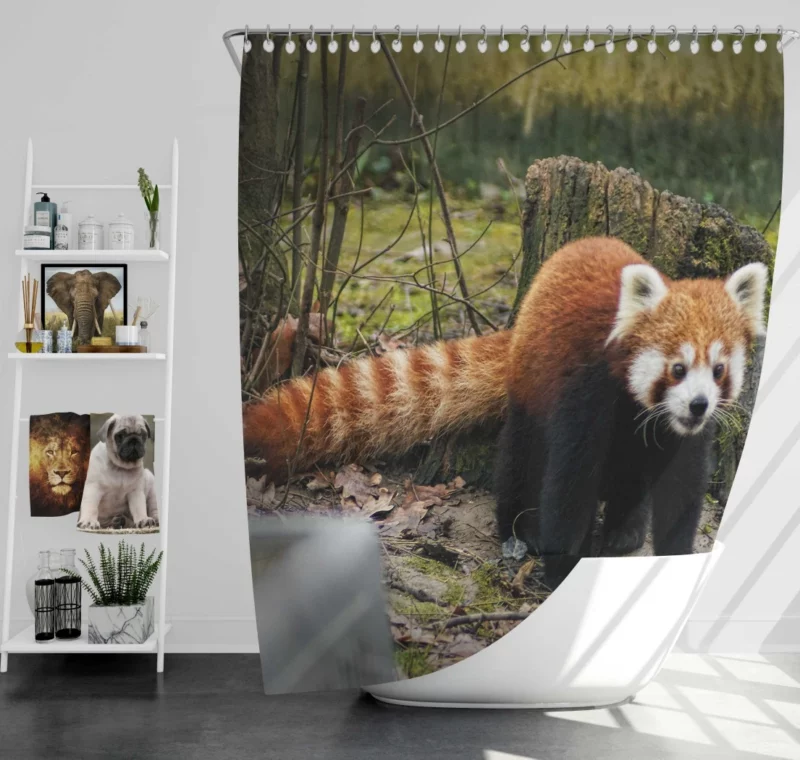 Red Panda on Stump Nature Serenity Shower Curtain