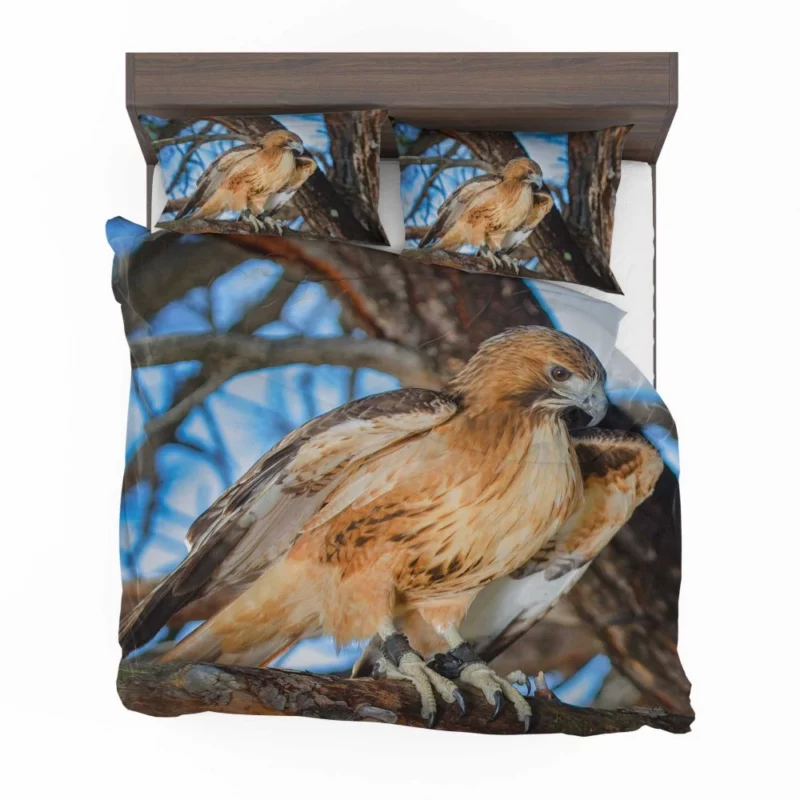 Red-Tailed Hawk Focused Gaze Hunter Stare Bedding Set 1