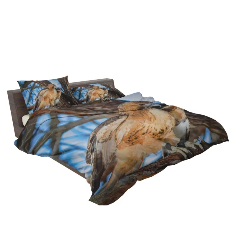 Red-Tailed Hawk Focused Gaze Hunter Stare Bedding Set 2