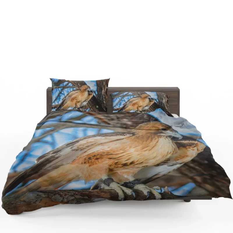 Red-Tailed Hawk Focused Gaze Hunter Stare Bedding Set