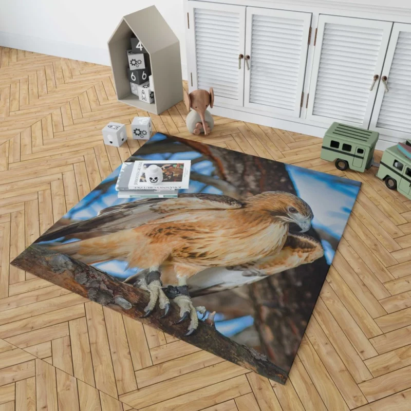 Red-Tailed Hawk Focused Gaze Hunter Stare Rug 1