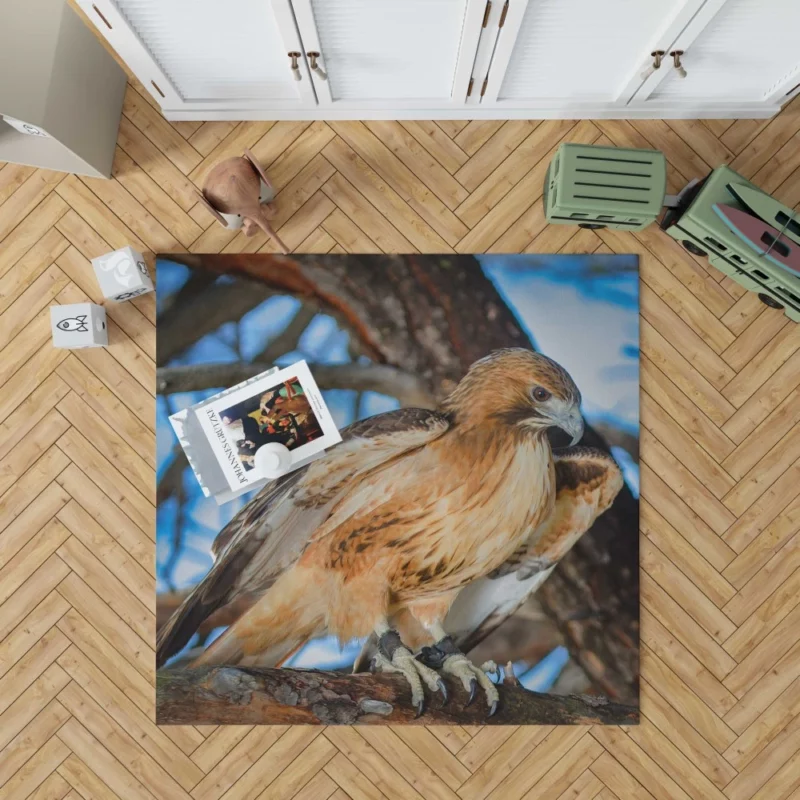 Red-Tailed Hawk Focused Gaze Hunter Stare Rug