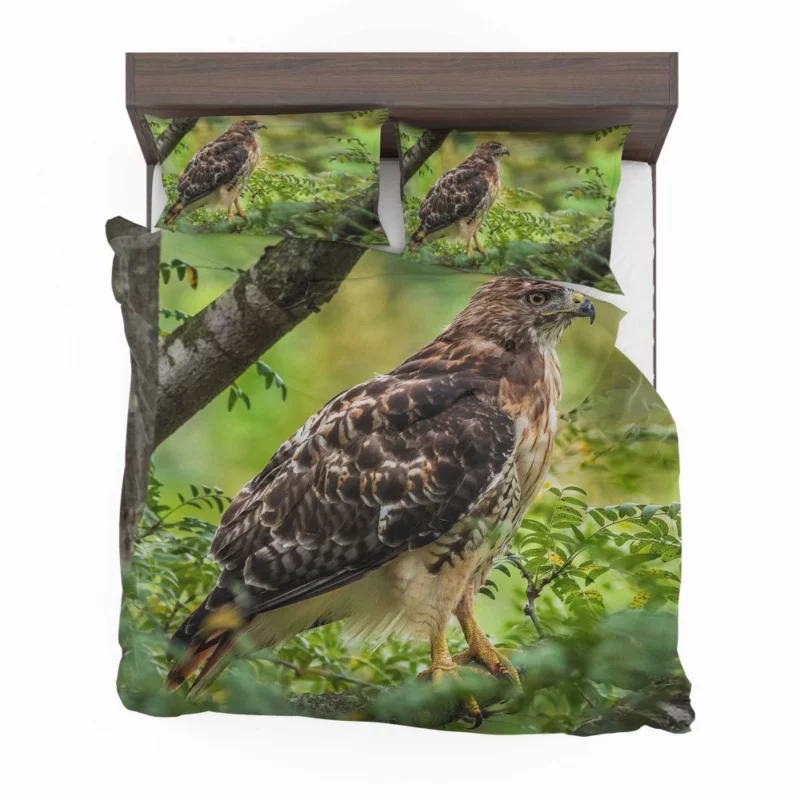 Red-Tailed Hawk Tree Perch Aerial Majesty Bedding Set 1