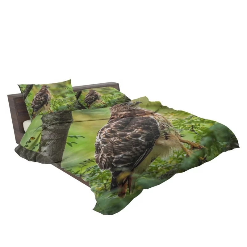 Red-Tailed Hawk Tree Perch Aerial Majesty Bedding Set 2