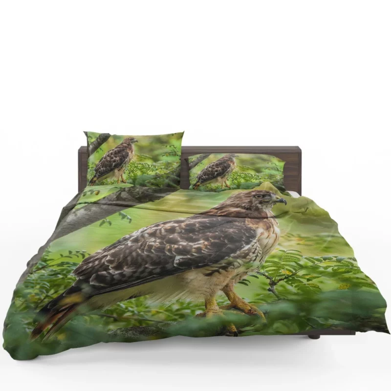 Red-Tailed Hawk Tree Perch Aerial Majesty Bedding Set