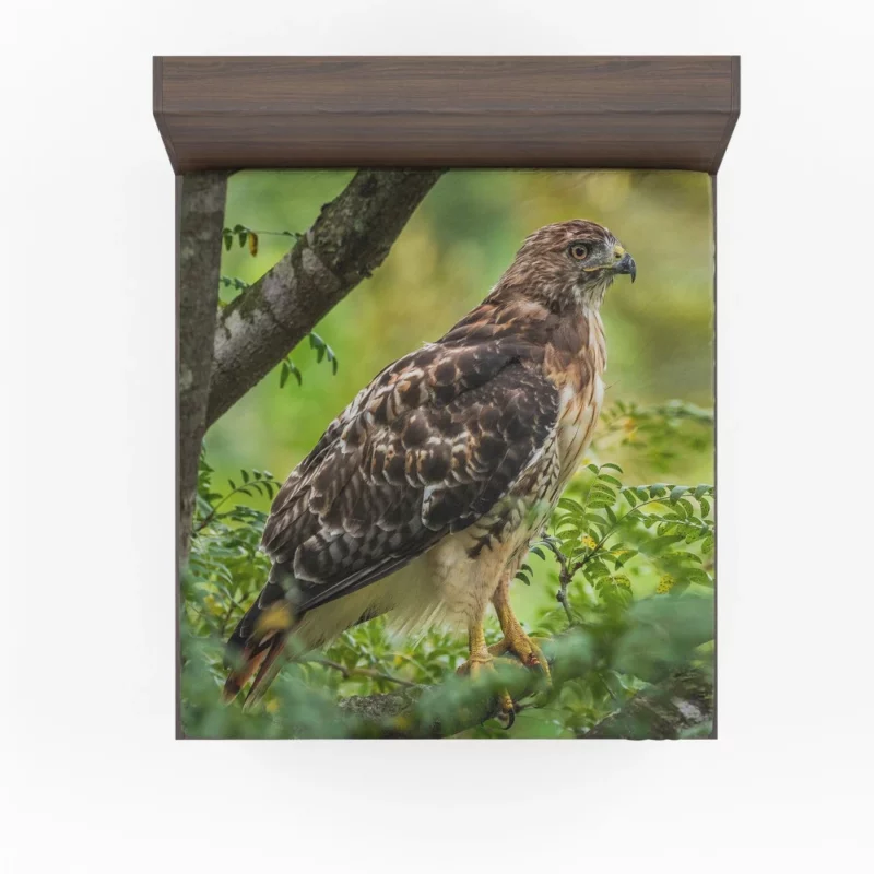 Red-Tailed Hawk Tree Perch Aerial Majesty Fitted Sheet 1