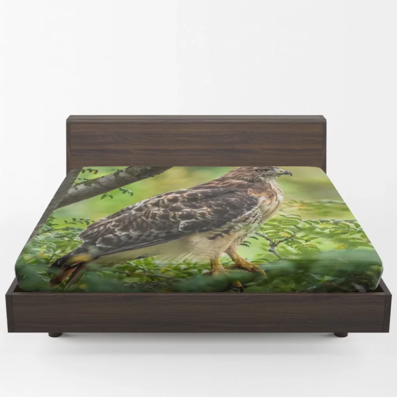 Red-Tailed Hawk Tree Perch Aerial Majesty Fitted Sheet