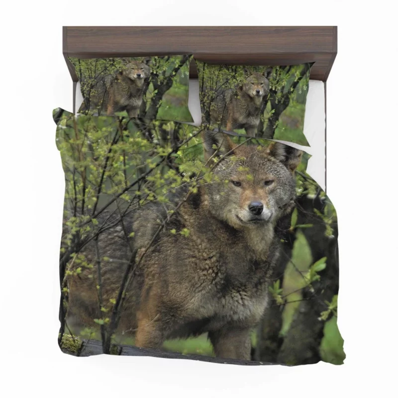 Red Wolf Intense Gaze Fiery Power Bedding Set 1