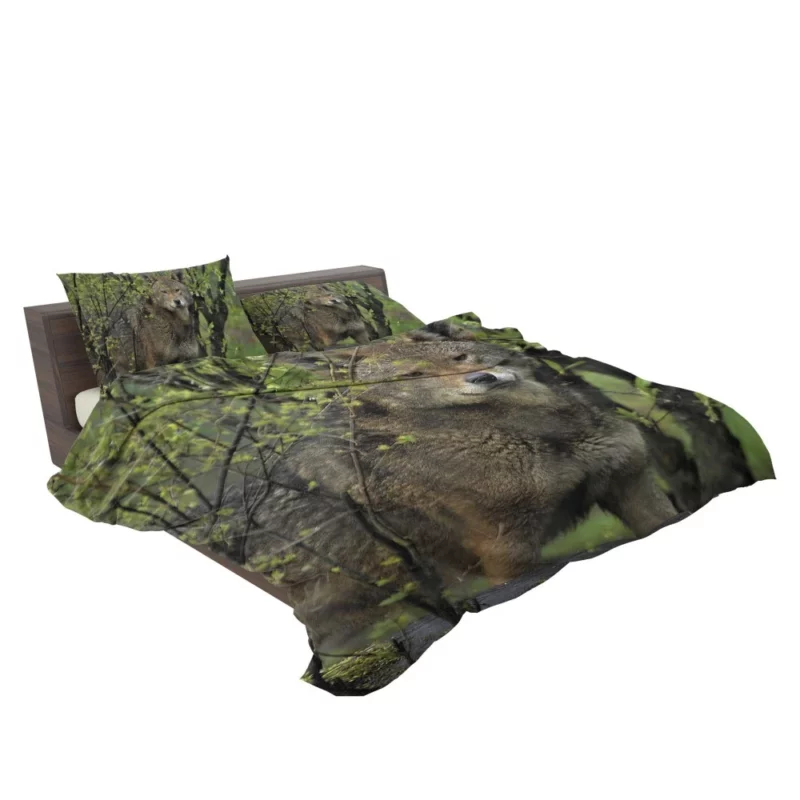 Red Wolf Intense Gaze Fiery Power Bedding Set 2