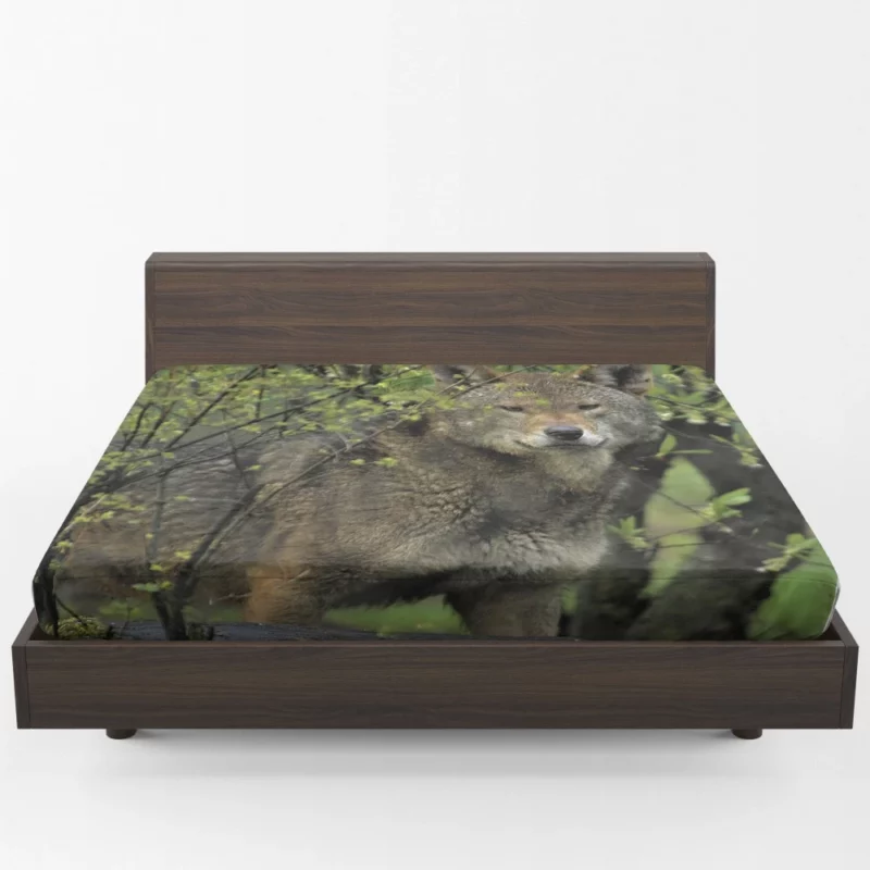 Red Wolf Intense Gaze Fiery Power Fitted Sheet