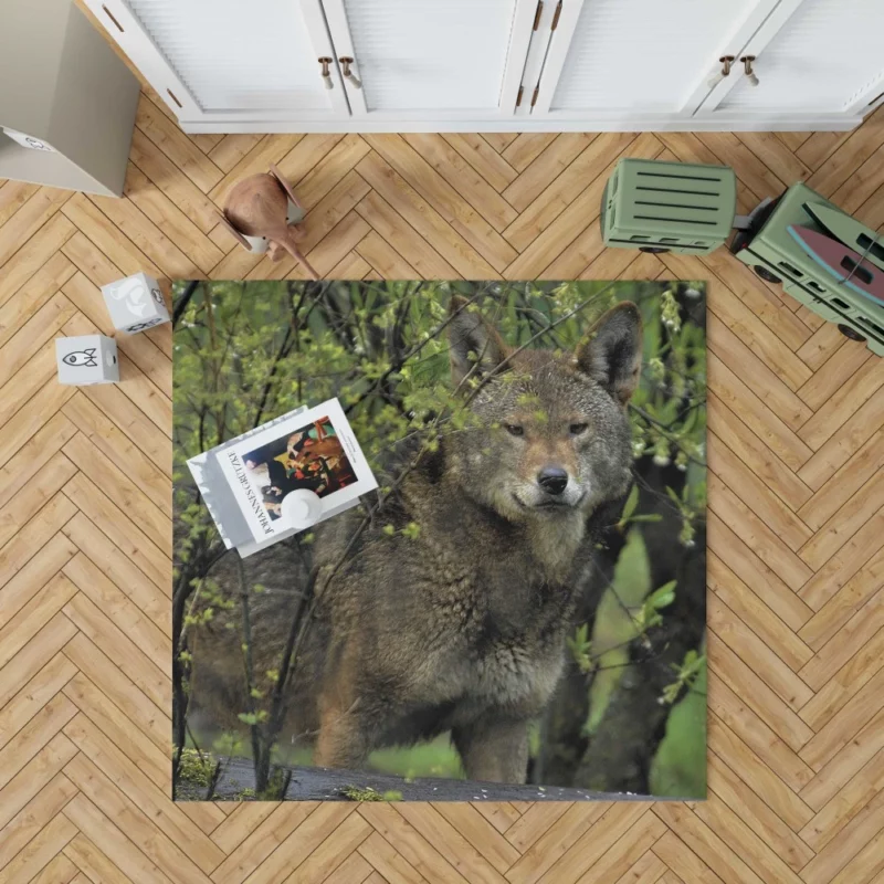 Red Wolf Intense Gaze Fiery Power Rug