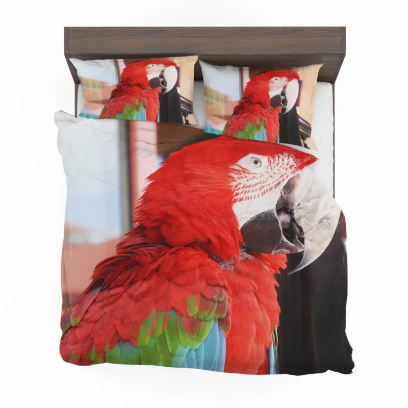 Red-and-green Macaw Tropical Splendor Bedding Set 1