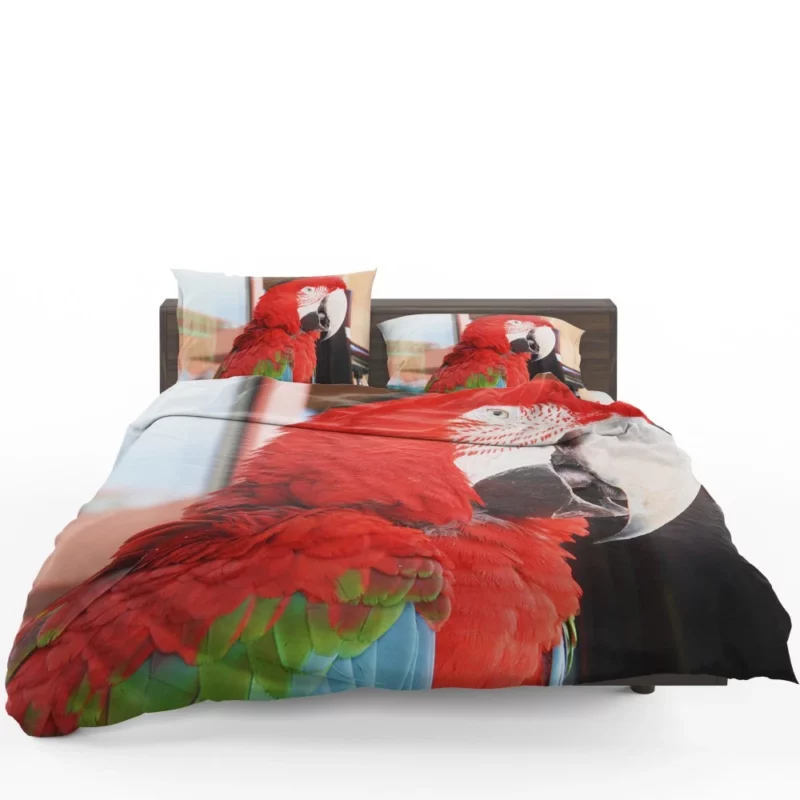 Red-and-green Macaw Tropical Splendor Bedding Set