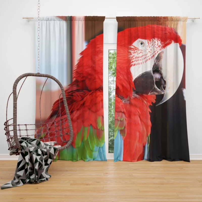 Red-and-green Macaw Tropical Splendor Curtain