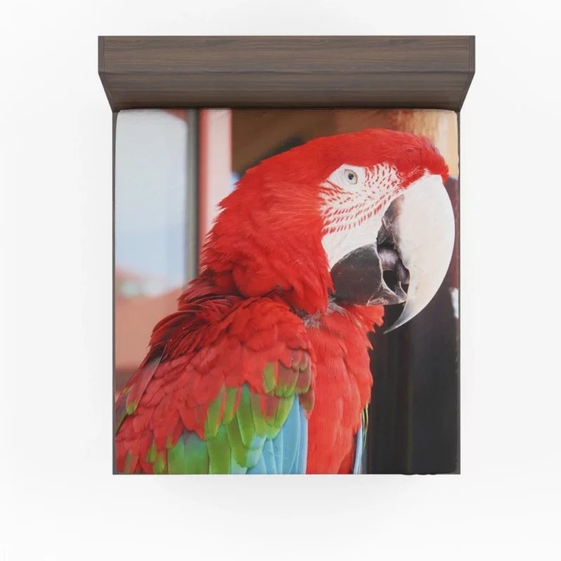 Red-and-green Macaw Tropical Splendor Fitted Sheet 1