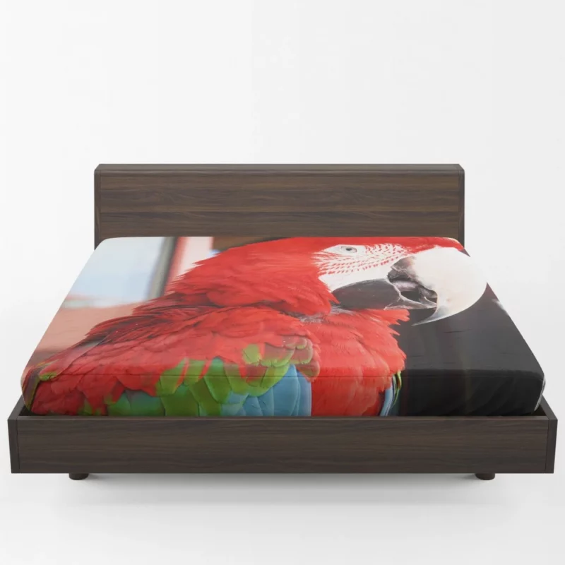 Red-and-green Macaw Tropical Splendor Fitted Sheet