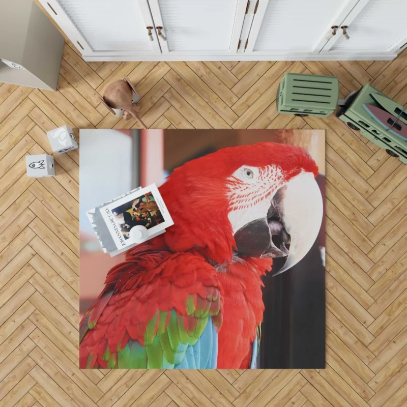 Red-and-green Macaw Tropical Splendor Rug