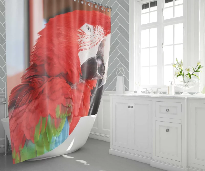 Red-and-green Macaw Tropical Splendor Shower Curtain 1