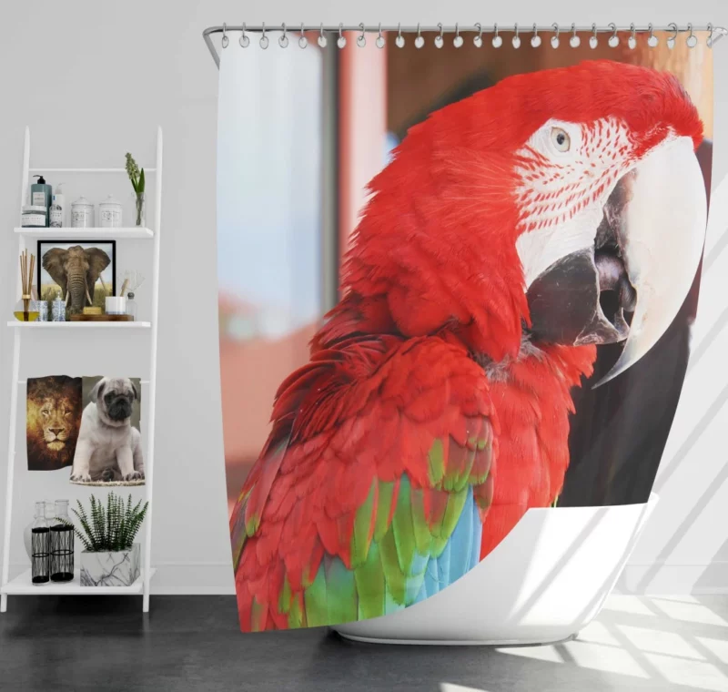 Red-and-green Macaw Tropical Splendor Shower Curtain