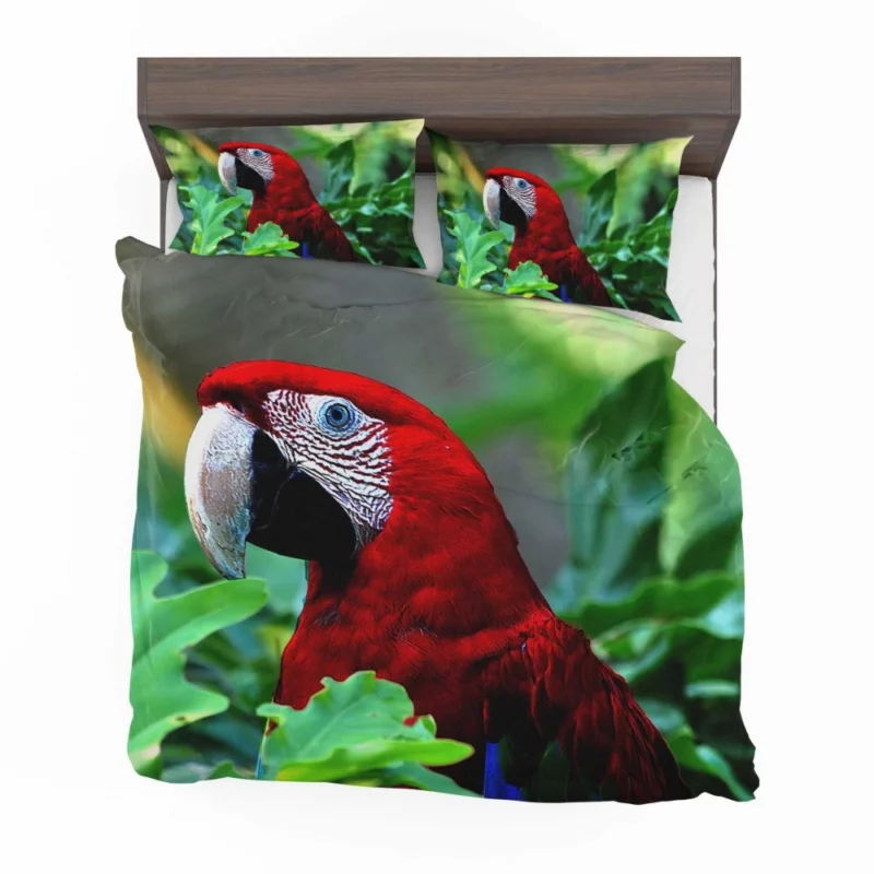 Red-and-green Macaw Vibrant Beauty Scarlet Delight Bedding Set 1