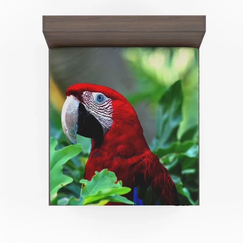 Red-and-green Macaw Vibrant Beauty Scarlet Delight Fitted Sheet 1