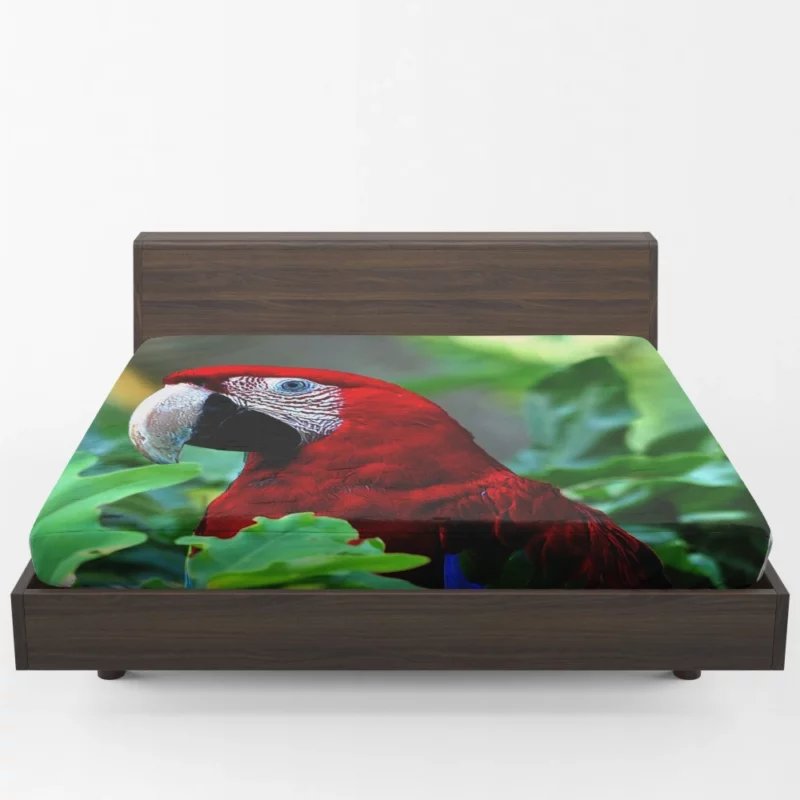 Red-and-green Macaw Vibrant Beauty Scarlet Delight Fitted Sheet