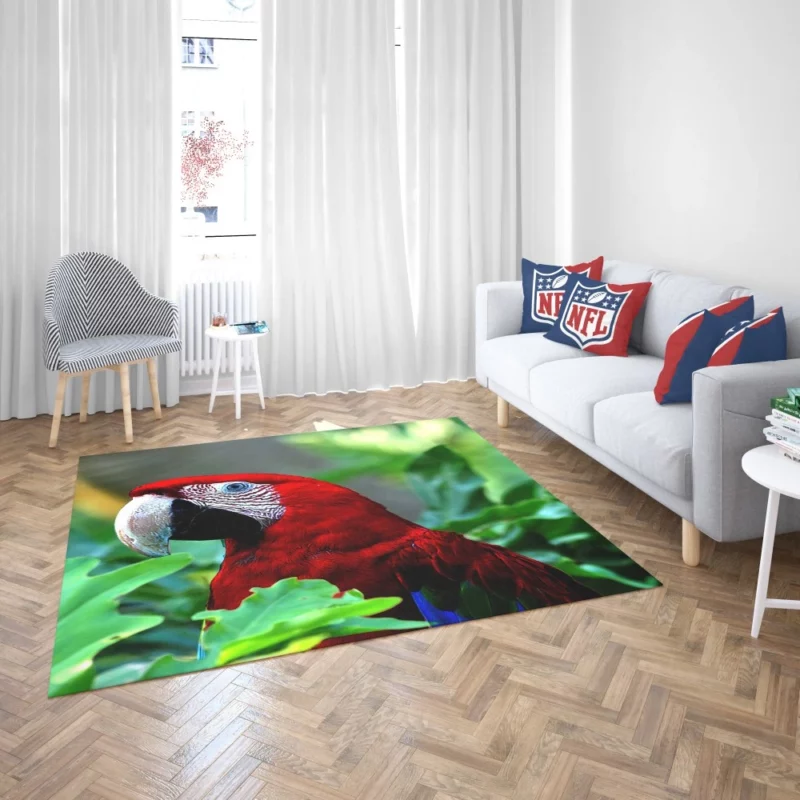 Red-and-green Macaw Vibrant Beauty Scarlet Delight Rug 2