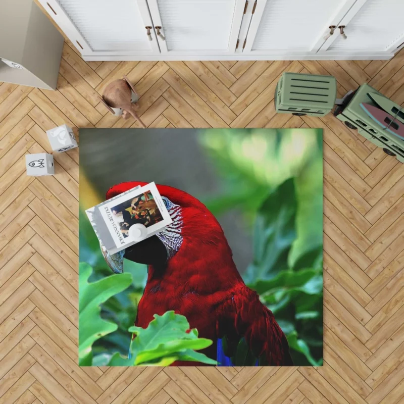 Red-and-green Macaw Vibrant Beauty Scarlet Delight Rug