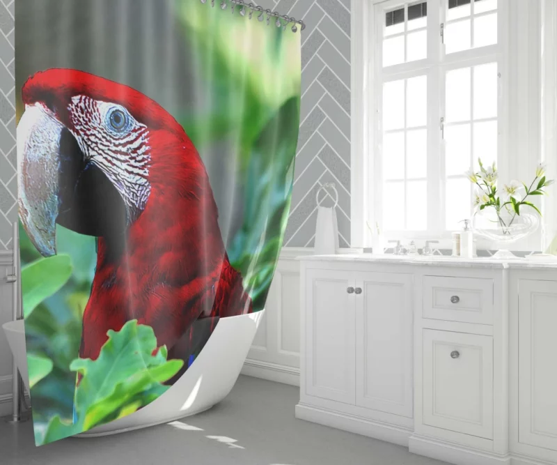 Red-and-green Macaw Vibrant Beauty Scarlet Delight Shower Curtain 1